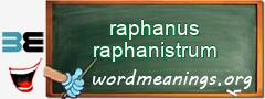 WordMeaning blackboard for raphanus raphanistrum